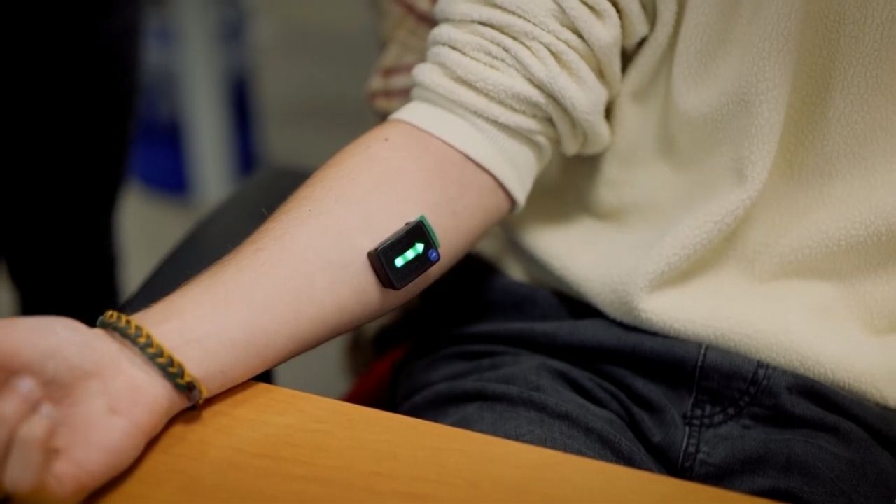 L'offerta del Diei di Unicas fra digitale, energia e salute: un'applicazione di bioingegneria