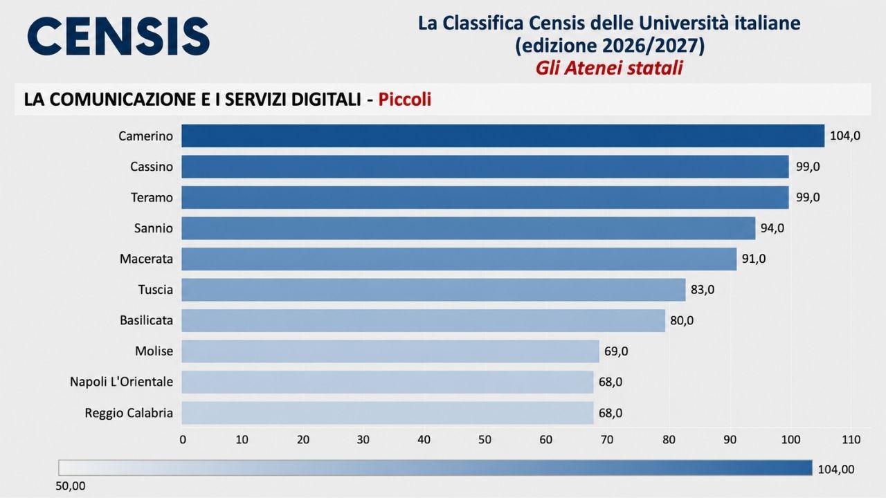 Censis 2026, la comunicazione e i servizi digitali, rappresentazione grafica